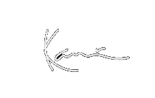 https://karlkanistore.de/