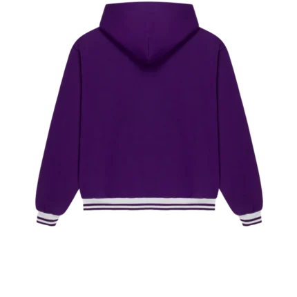 Oversized Pac Hoodie (Purple) g